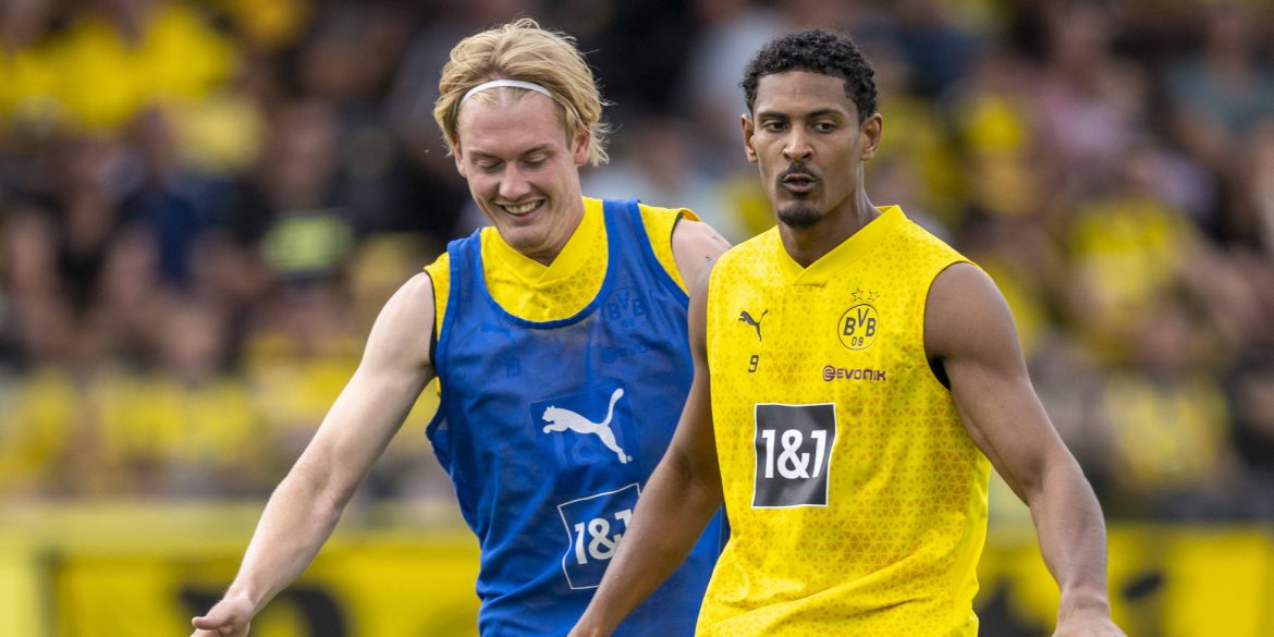 Frag Comunio: Brandt & Haller verkaufen? Zu viele Heidenheimer? Was tun mit Hincapie?